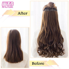 WTB Synthetic 100cm 5 Clip In Hair Extension